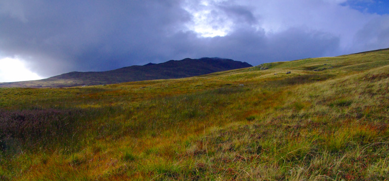Meall Garbh, Ben Lawers National Nature Reserve, Scotland